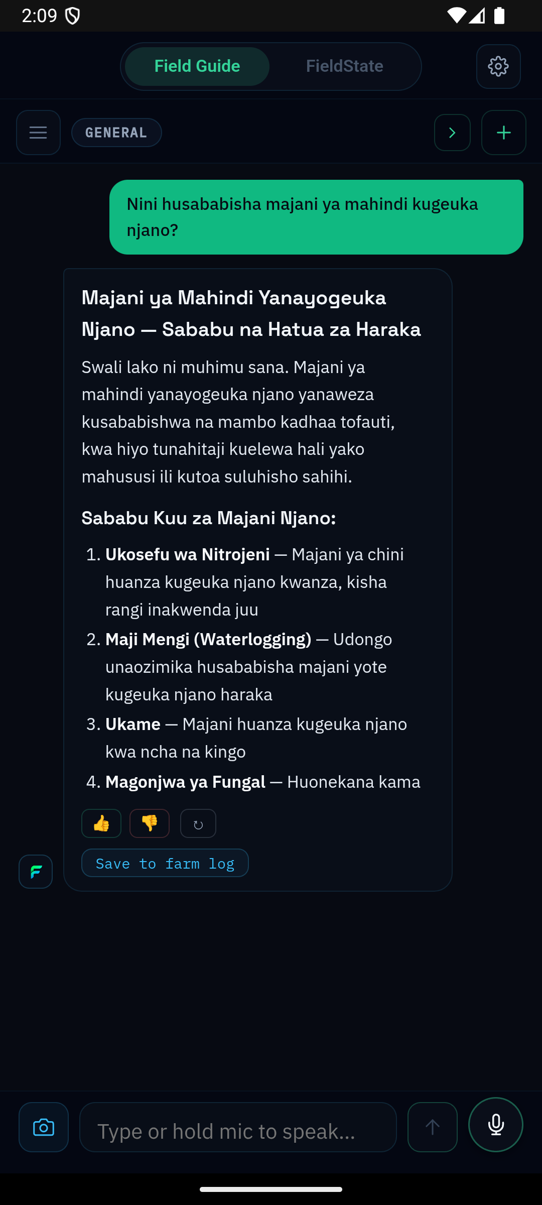 FieldAudio translated response with numbered list, Swahili guidance on yellowing maize leaves