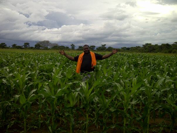 Fieldwork collage with crops and farm activity