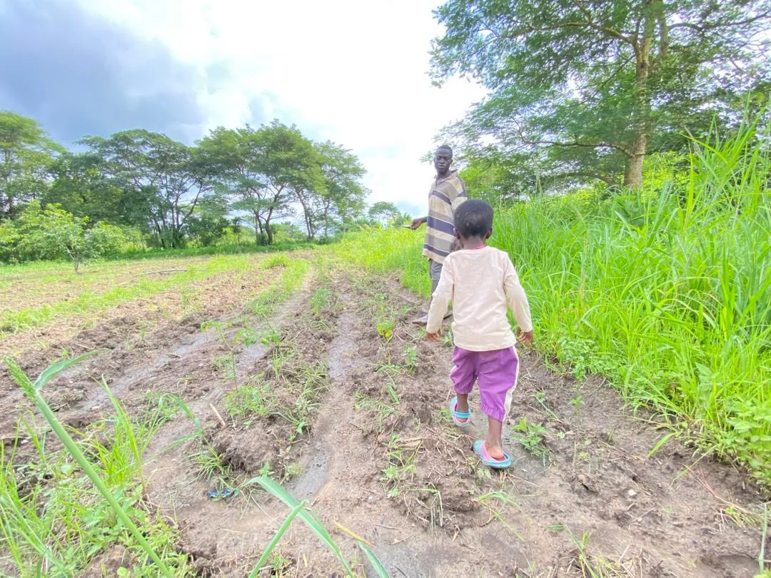 Smallholder farmer in the field